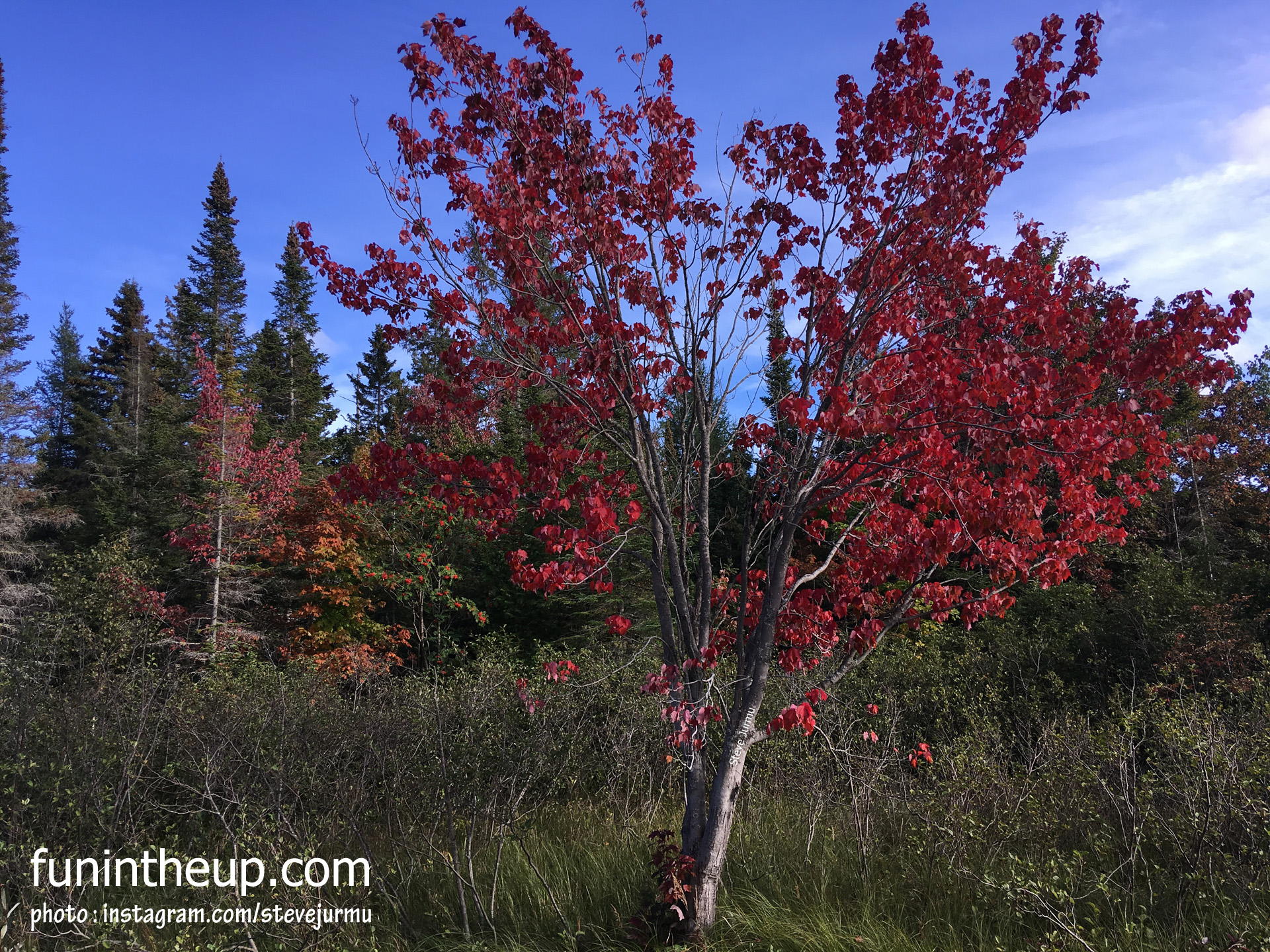 Fall Colors Cliff Drive, Keweenaw