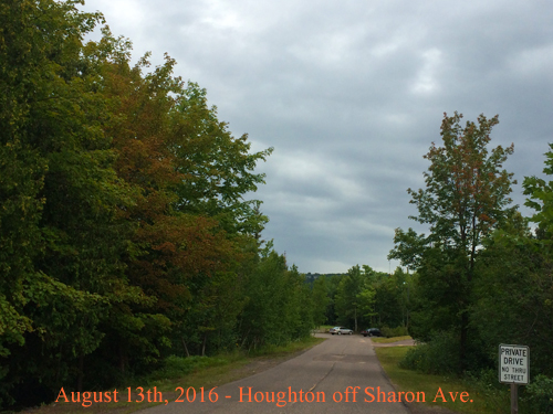 Aug 13th colors in Houghton off Sharon Ave.